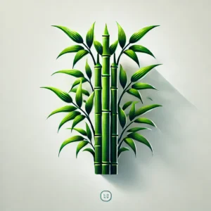 Schizostachyum Brachycladum